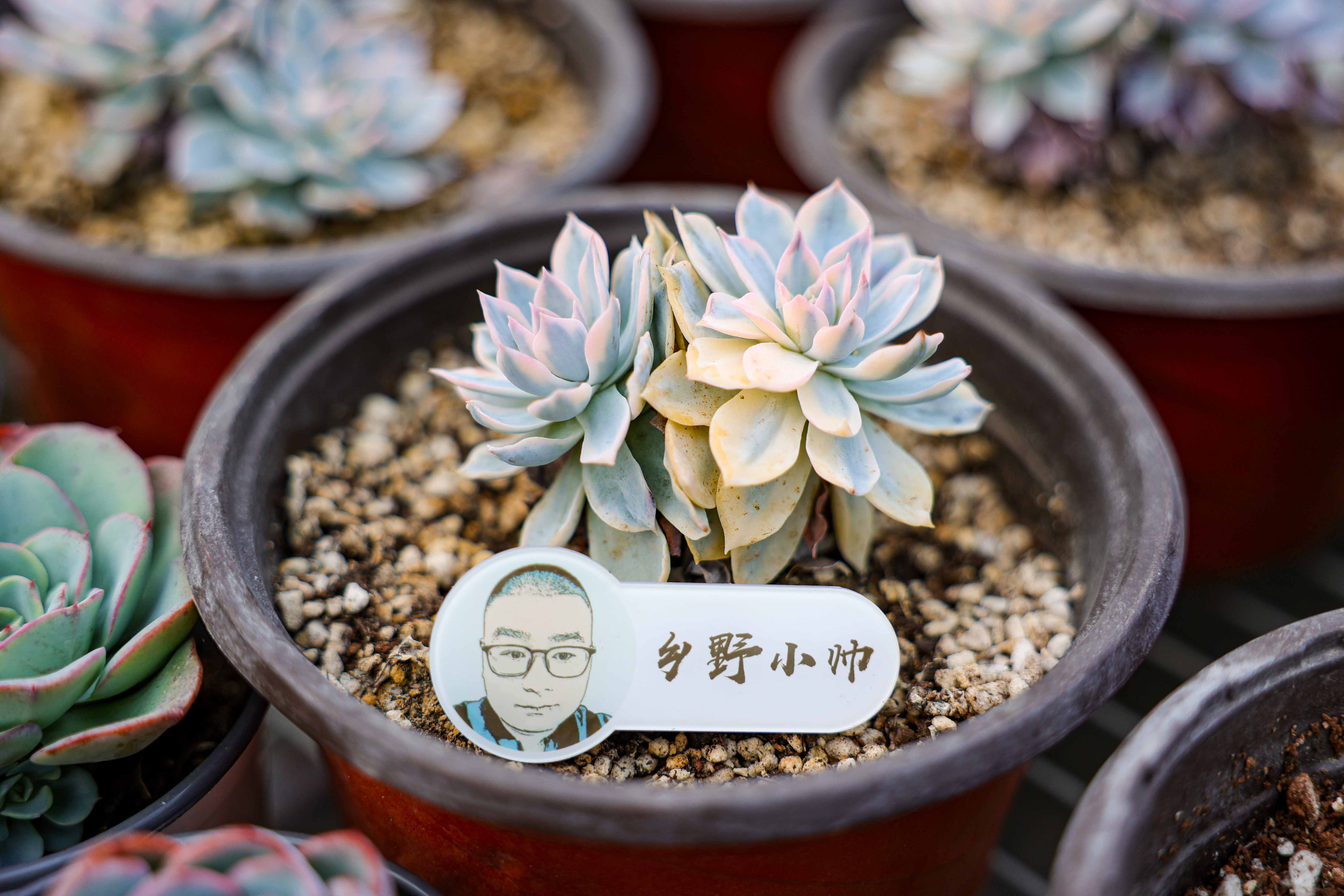 怎样才能长肉肉 3e7ba649408d2a4c3e8785cd9707f0ec8cde70f6.jpg