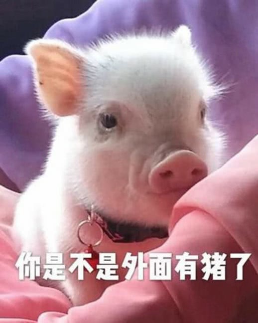你怎么可以抛弃我