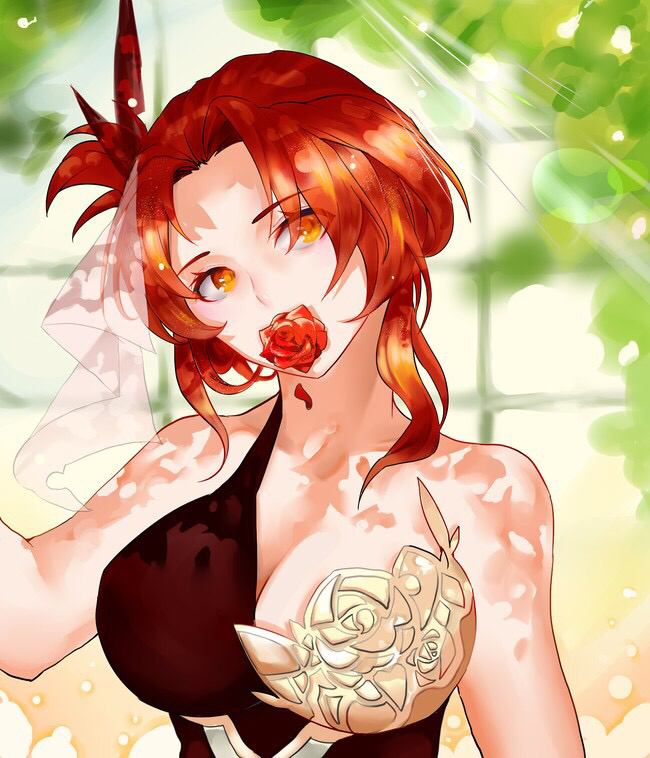 崩坏3精选p站壁纸(姬子八重樱德丽莎多)