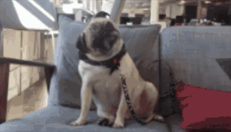 钢铁直男的审美拯救计划 之 queer eye《粉雄救兵》