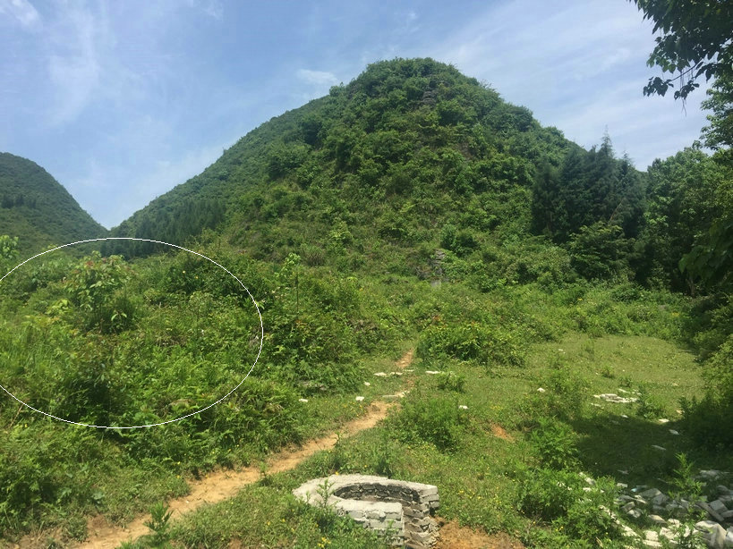 王君植风水大师寻龙点穴,贵州风水宝地五子登科穴,葬满上百祖坟风水