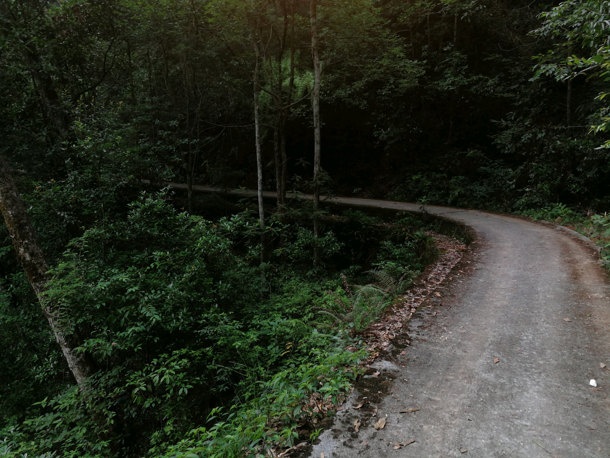 山间小路 B站