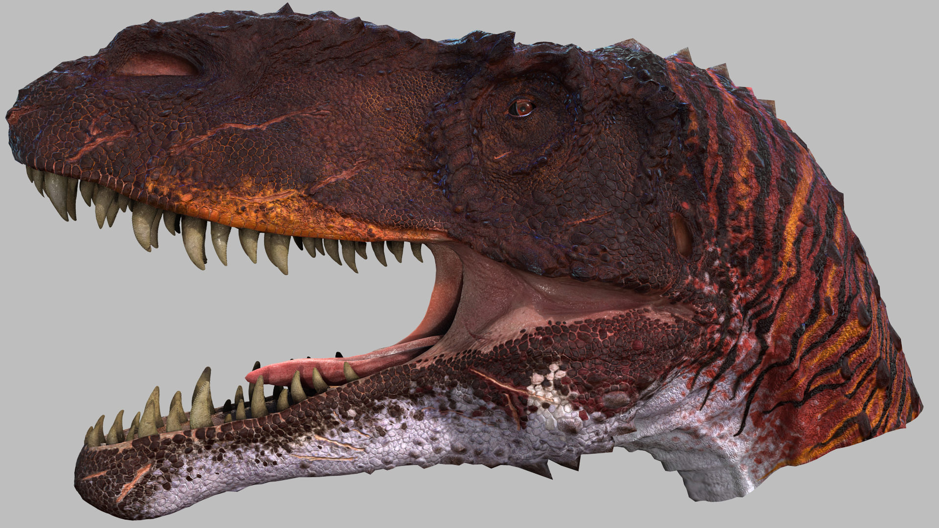 5亿年前,欧洲 出场物种: 异龙 allosaurus 丁赫罗龙 dinheirosaurus