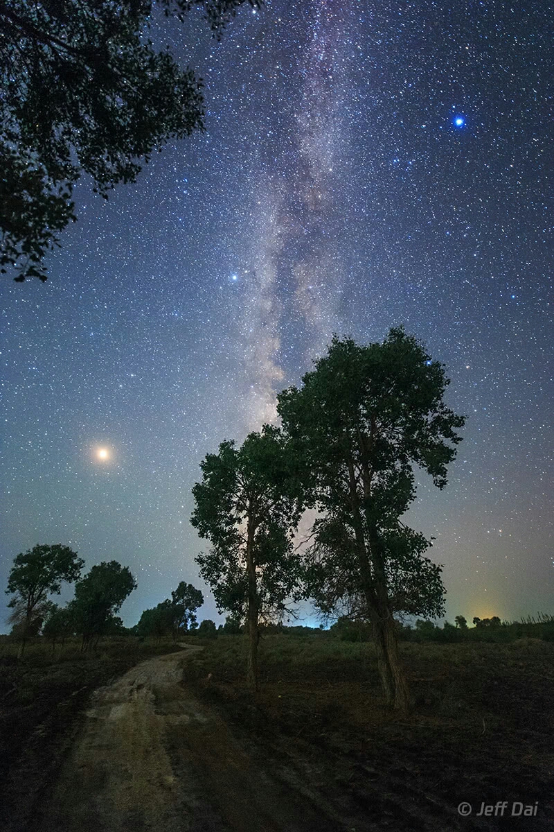 网友二:#丝路星空# 静谧的乡村小道,银河从树梢向上延伸.