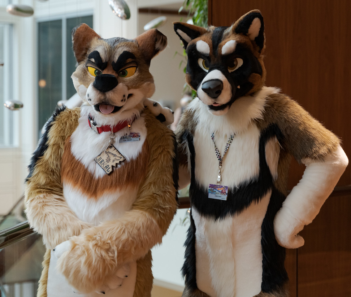 兽装 美系 fursuit furry -- -- --           分享到: 投诉或建议