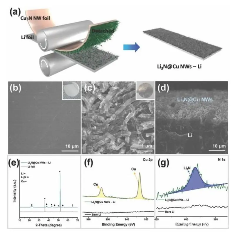 ………………………………………………