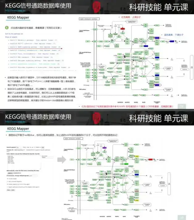 3f62dd704f2779dc9dcba0aedb6111556f233b98.png