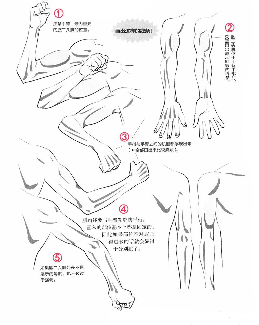 萌系美少年漫画造型-09.从肩膀到手臂的画法