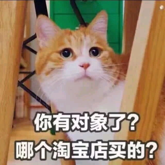 喵喵的表情包 可能会发重复.见谅