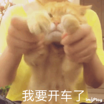 自制各种可爱小动物表情包:熊猫,柴犬,二哈,猫咪,土拨鼠,猫头鹰等