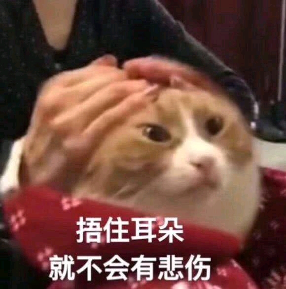 想要坚持的,我表示感谢,想离开的我只能表示遗憾