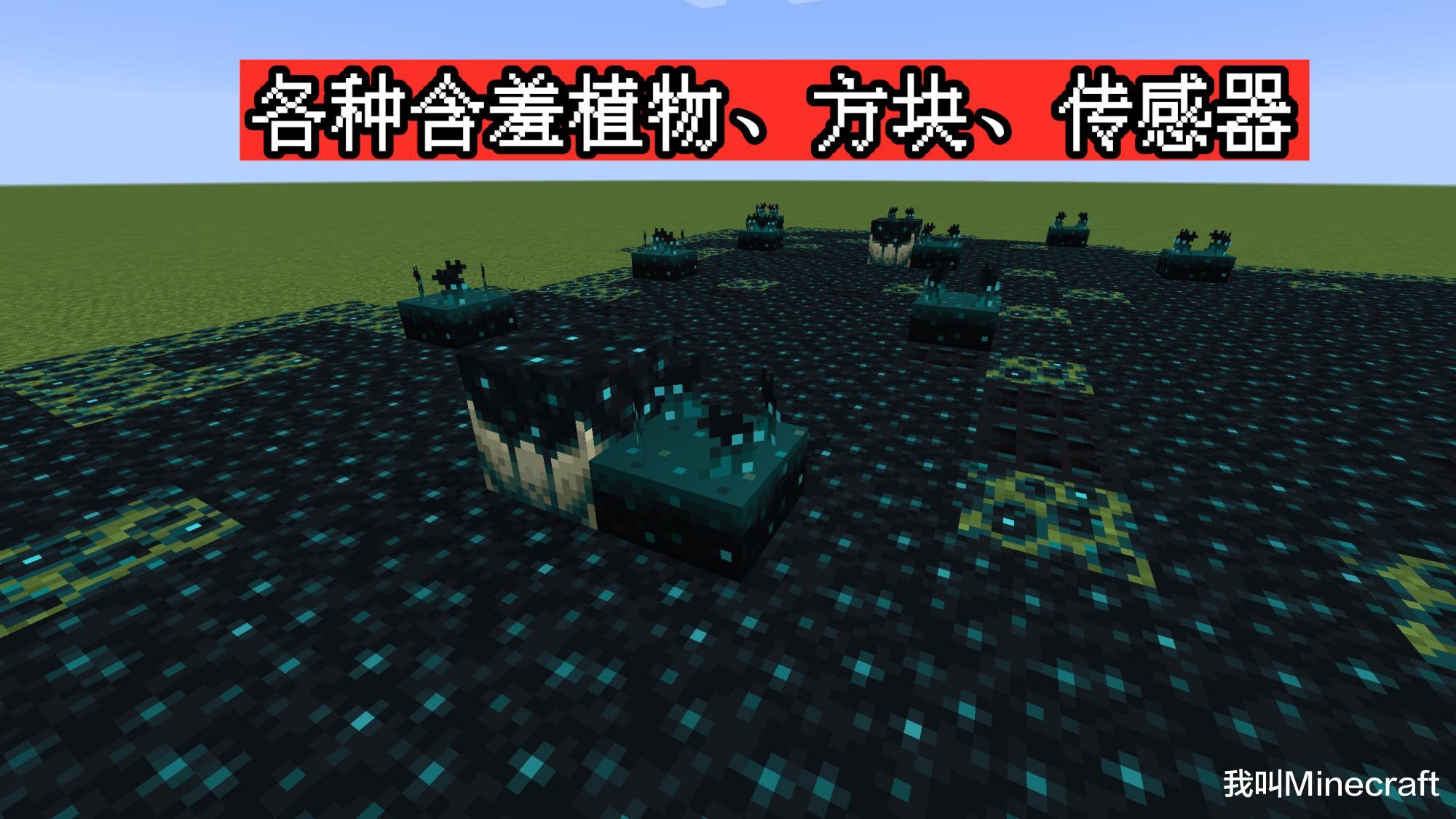minecraft 1.17剧透:紫水晶可以种植,避雷针能召唤闪电骷髅马?