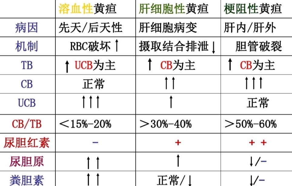 《诊断学》黄疸的临床表现与鉴别诊断