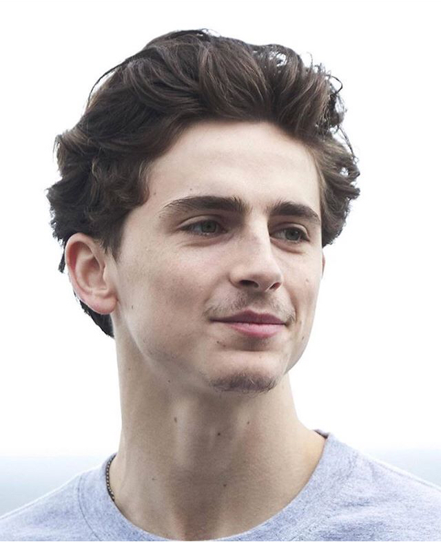 宣传beautiful boy的timothee chalamet