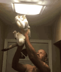 养猫千日,用猫一时啊!