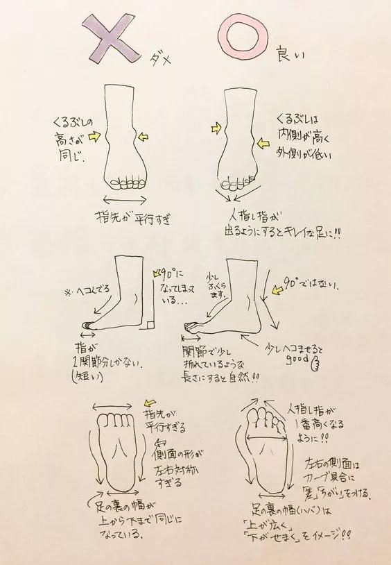 美术生素描手脚五官四肢人体等结构全解含对错图对比