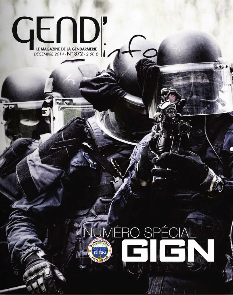 gign40周年宣传画