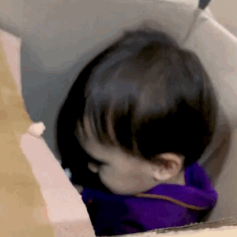 本特利表情包2