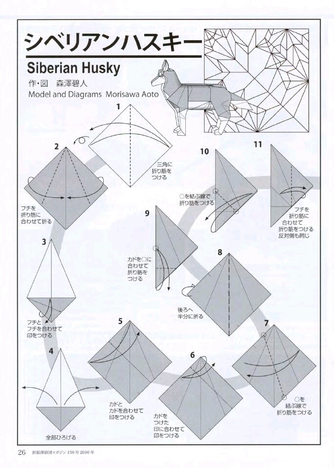 折纸森泽碧人哈士奇教程