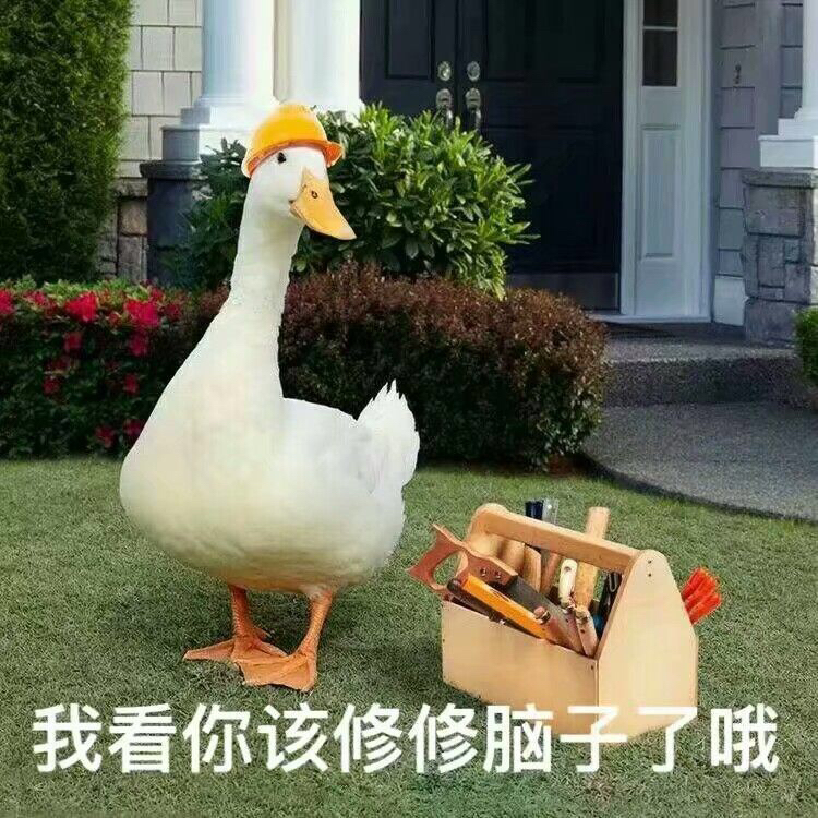 屯一下表情包