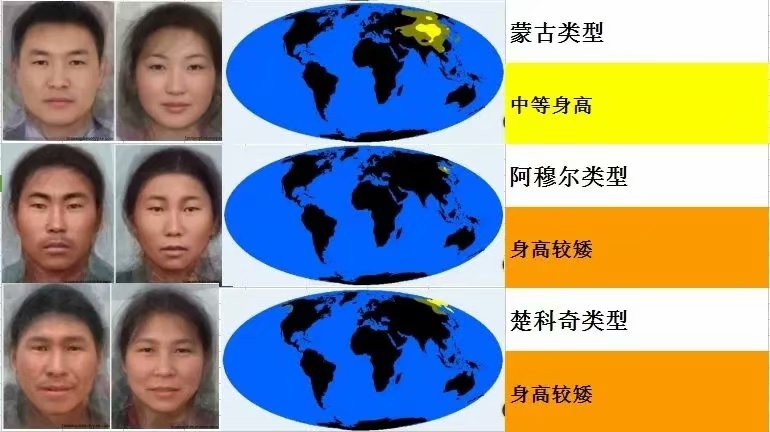 印欧人种与蒙古人种的生理差异1眼部