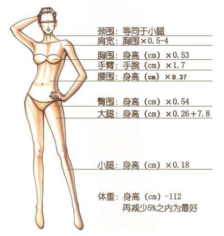 美不自美因人而彰范芳医生谈东方女性身材标准