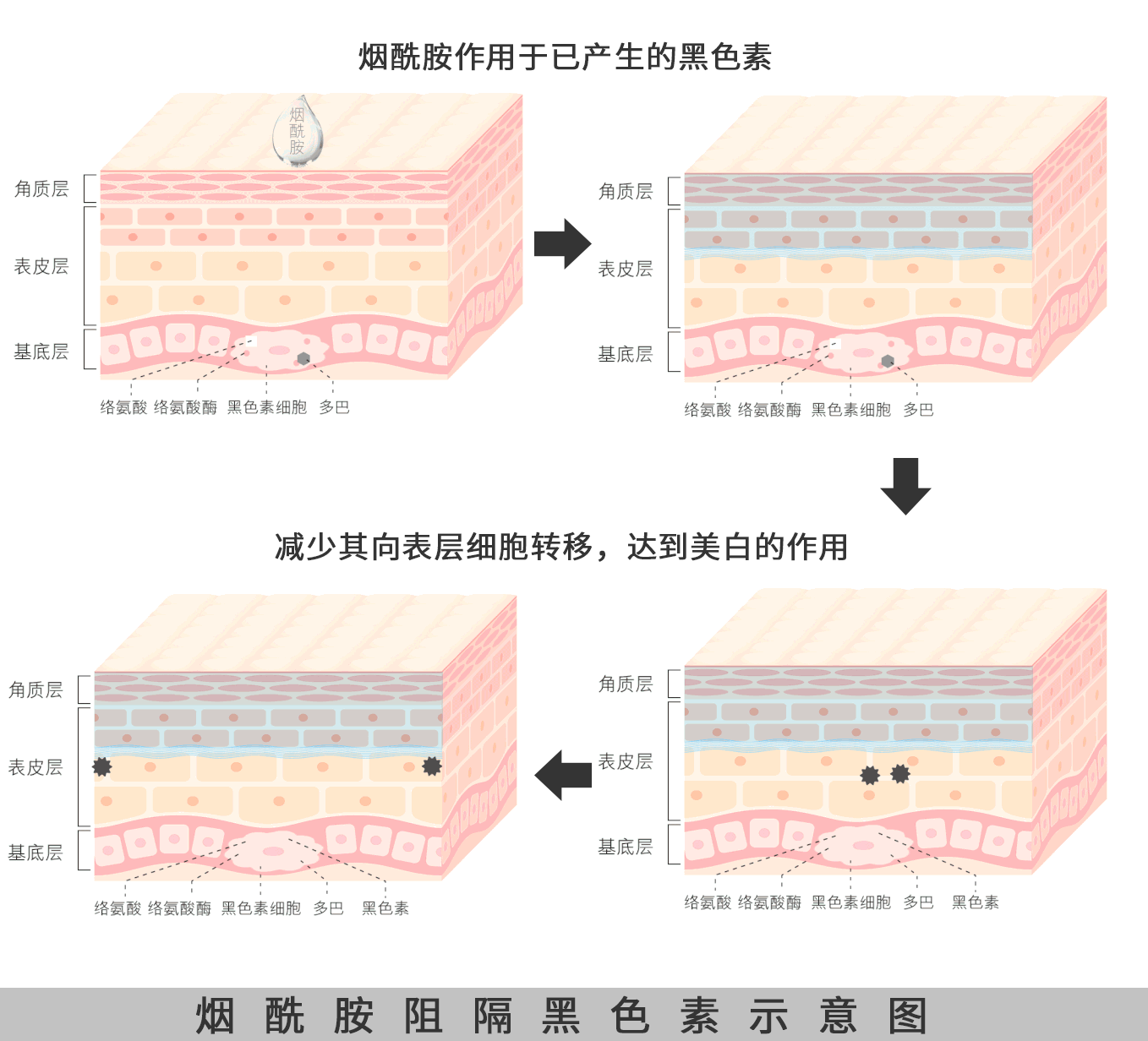 添加了烟酰胺的身体乳,有没有长毛风险?