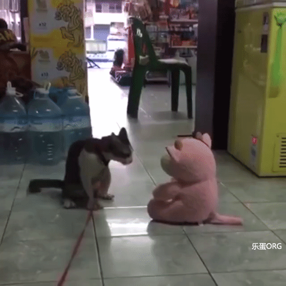 接我一记过肩摔