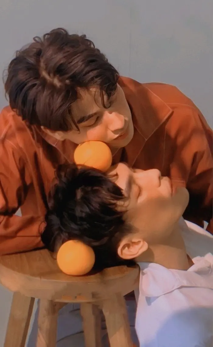 真爱墨菲定律(小说)