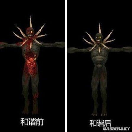 �����ǿ�