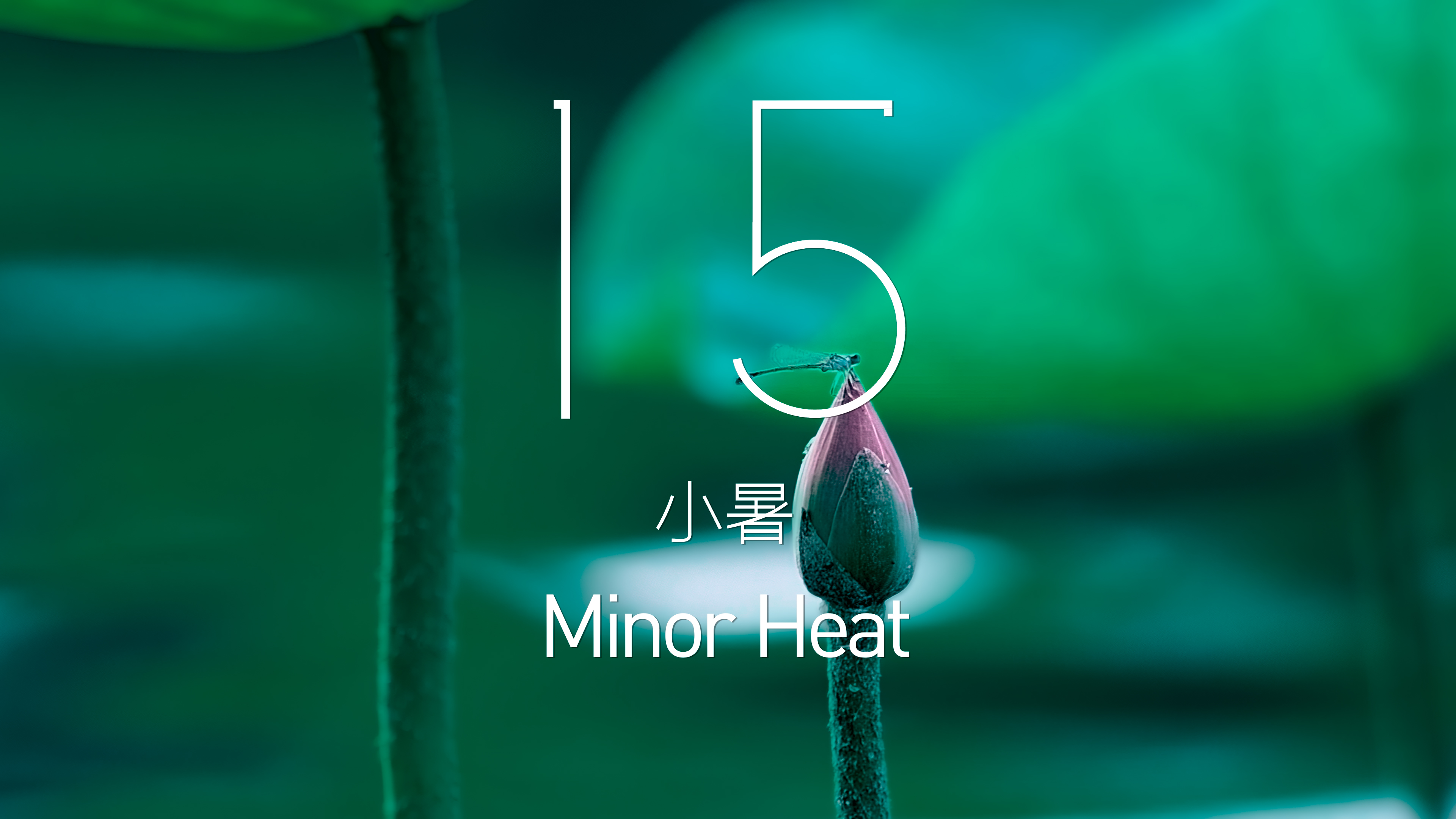 434721d7c4a2a1c6df4c94c6692a42be90d8f486.jpg