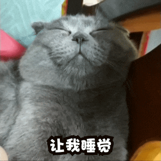 超可爱猫咪表情包gif睡觉篇
