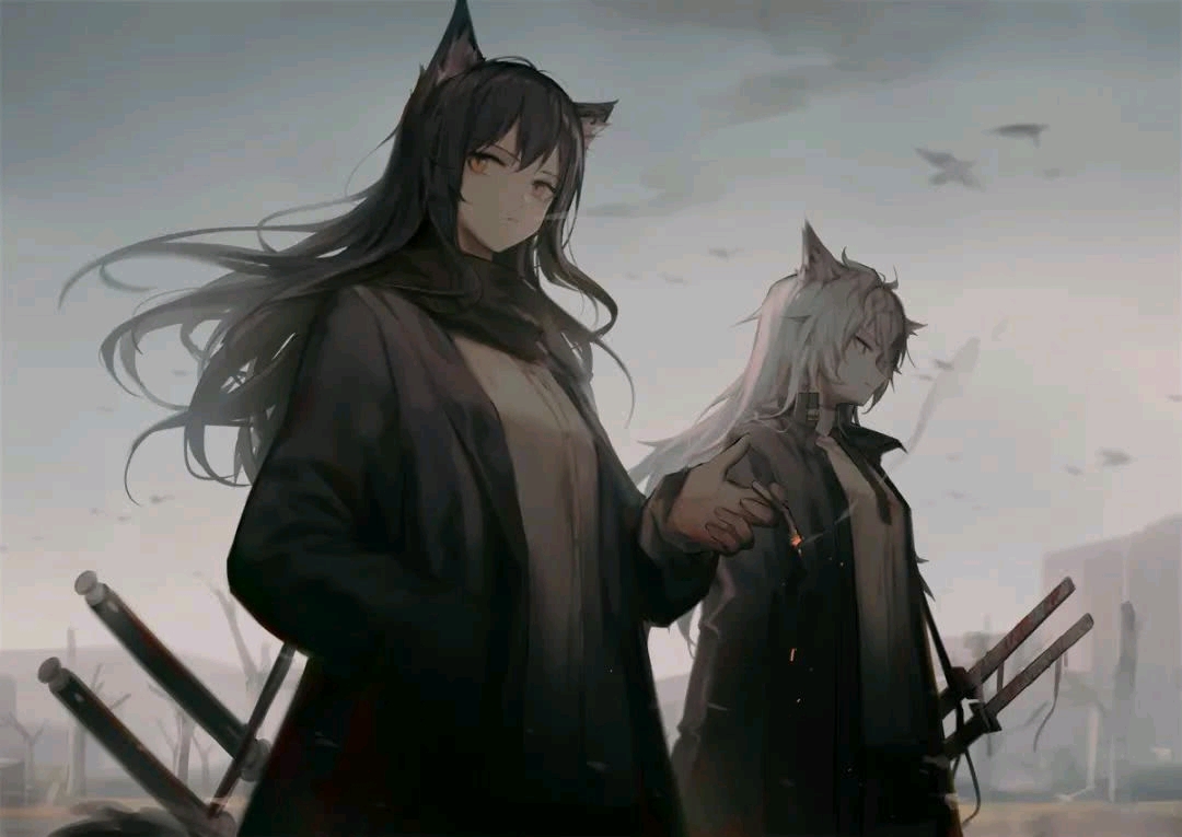 【明日方舟】画师幻象黑兔作品