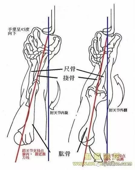 奶牛带你玩射箭(二)文字版:竞技反曲弓技术动作简明教程