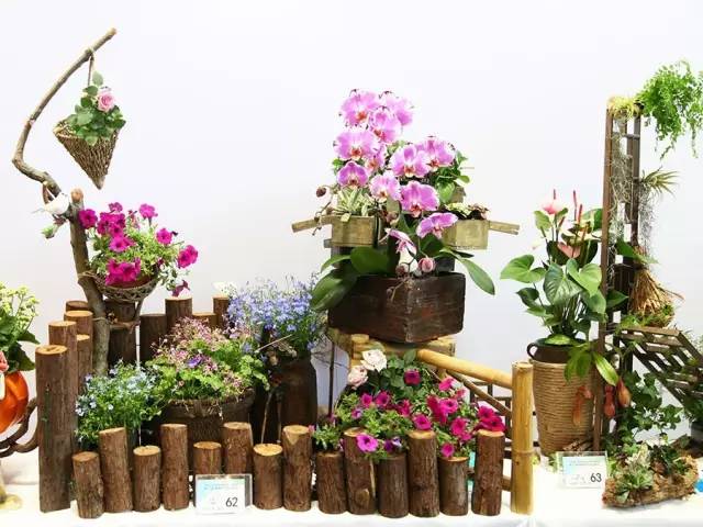 花店创意运营方式,花店创意运营方式有哪些