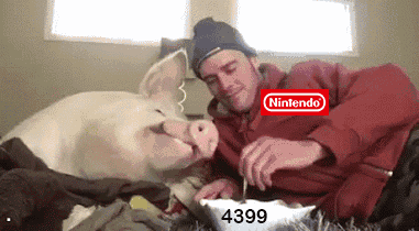 381_210gif 动态图 动图