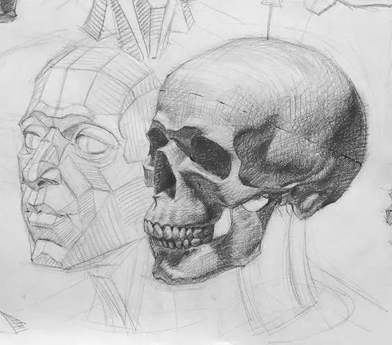 图解素描几何体头像五官的透视明暗适合教学和零基础临摹