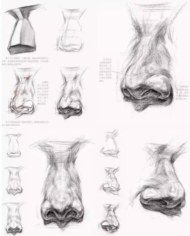 干货i素描五官绘画基础教程