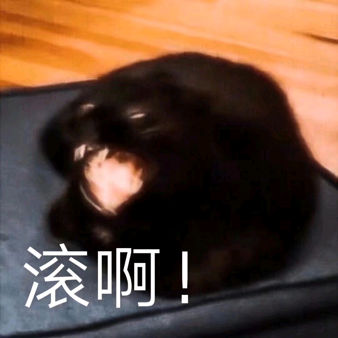 沙雕黑猫表情包