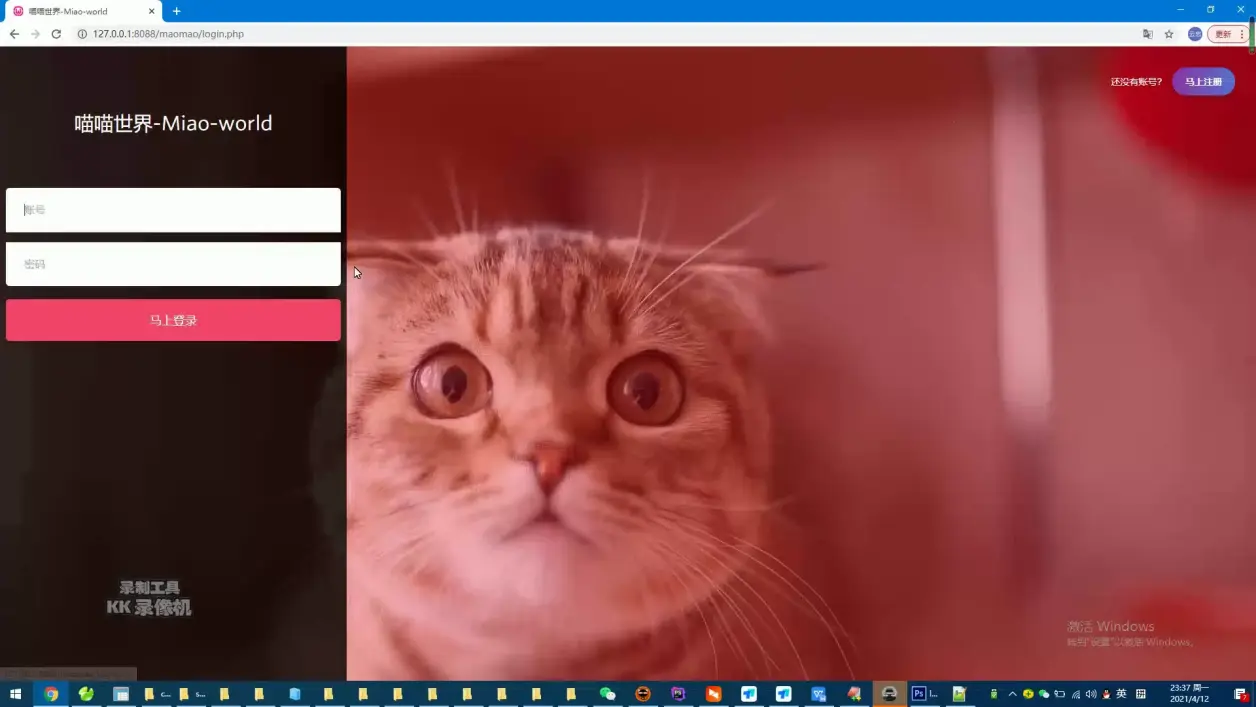 你知道猫咪网站的网址是什么吗？  第1张