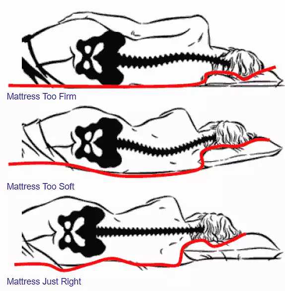 对于俯卧位时候的颈部,较低的枕头通常可以更好地减小扭力.
