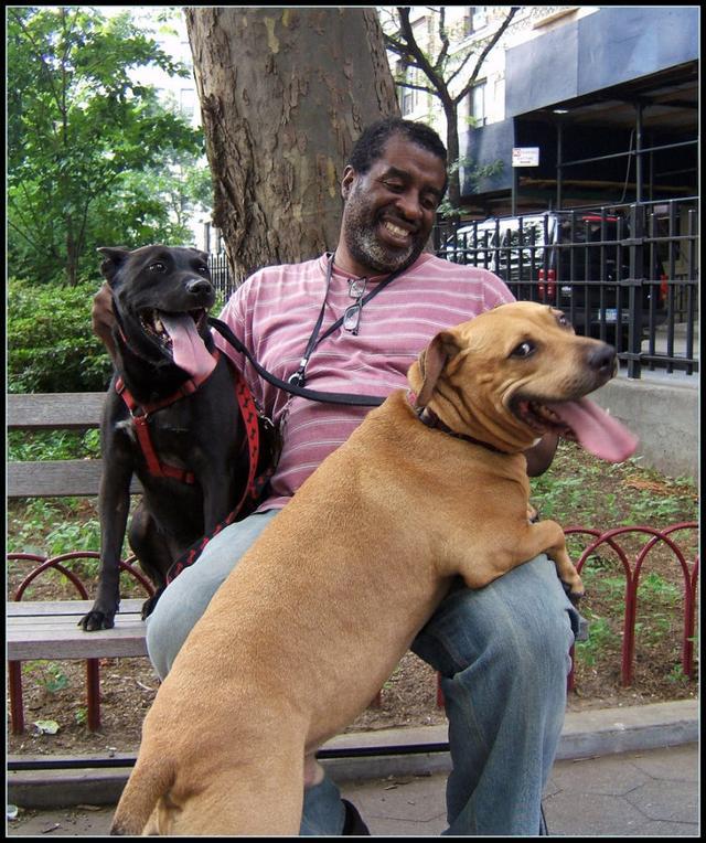 狗为啥会得心脏病 45d6e69ee59ed7f1e74dd1f372b46d69d60fc14b.jpg