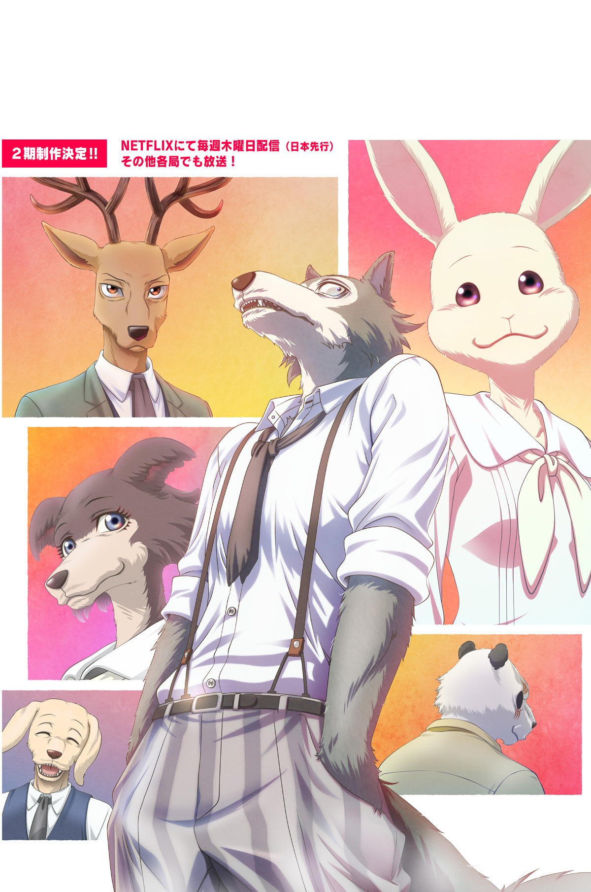 动物狂想曲/beastars 从官宣渠道搜集的一些图图