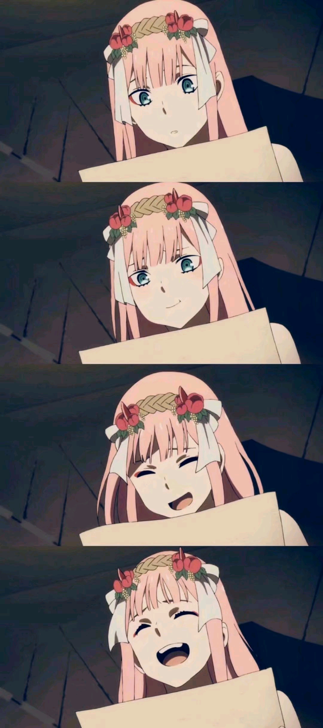 今日不发涩图#亲爱的弗兰克斯