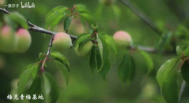 生活 日常 【佳片共赏】生活区up主如何推广食品饮料 gif