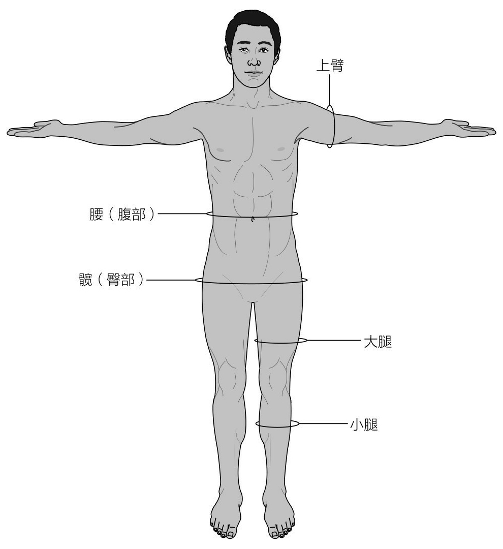 身体部位围度的测量