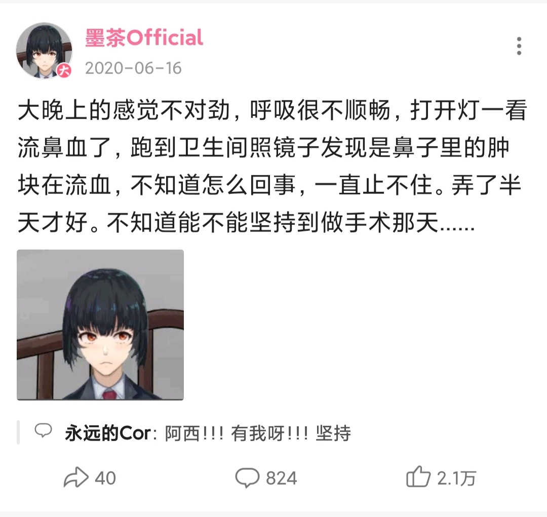 悼念b站up主墨茶official