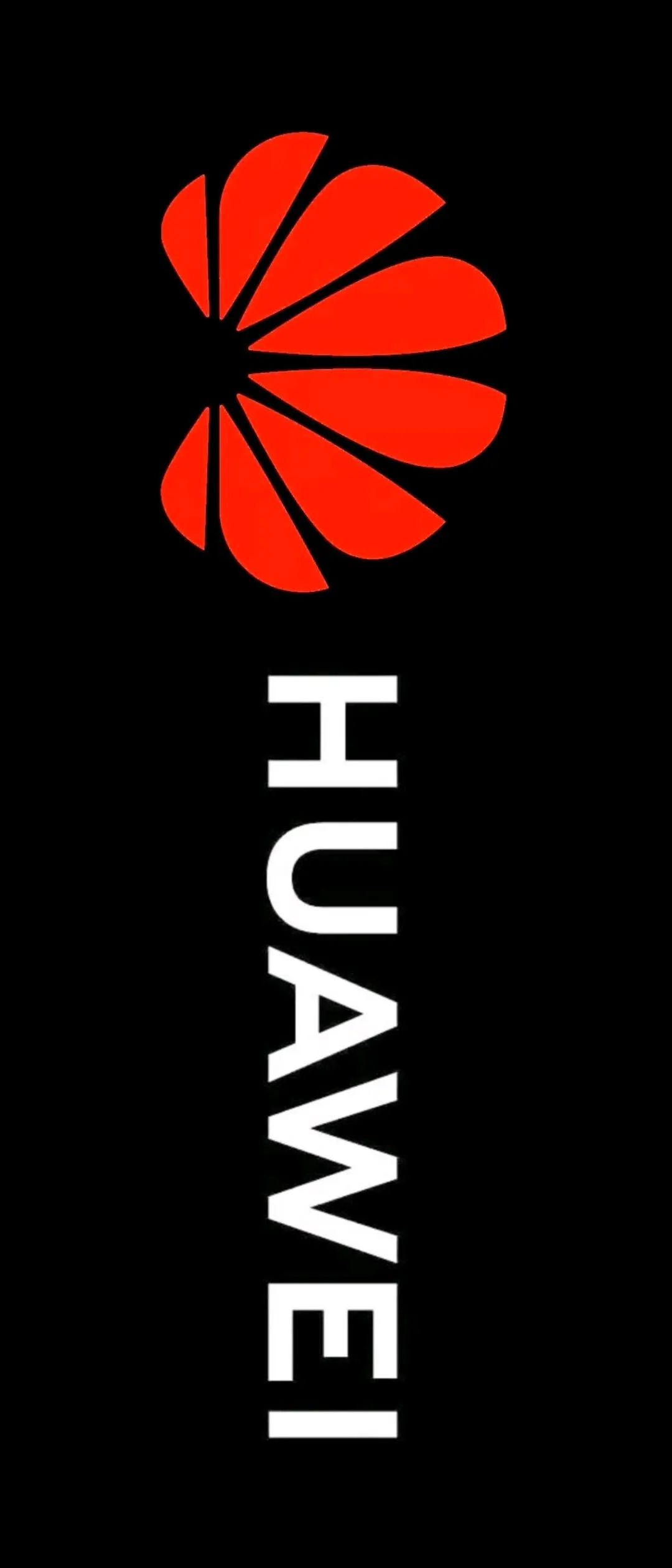 小米11ultra背屏壁纸,小米11ultra背屏动图 小米11ultra 副屏/背屏 图片分享