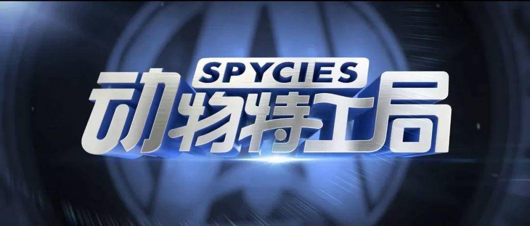 今年戛纳法国电影节上,中国动画《动物特工局》大放异彩电影手机图片