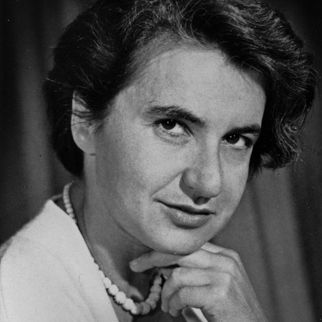 罗莎琳·富兰克林 rosalind franklin.